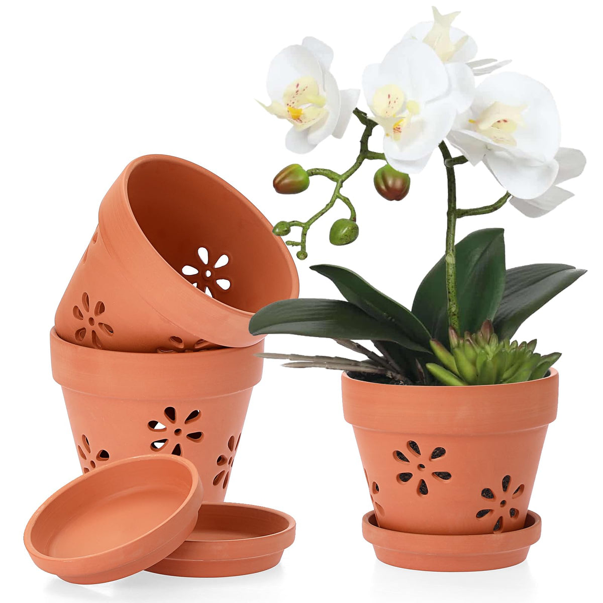 JUXYES 6-inch orchid pot with holes promotes airflow around roots.