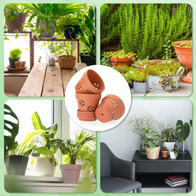 JUXYES perforated orchid pot design with multiple holes for airflow.