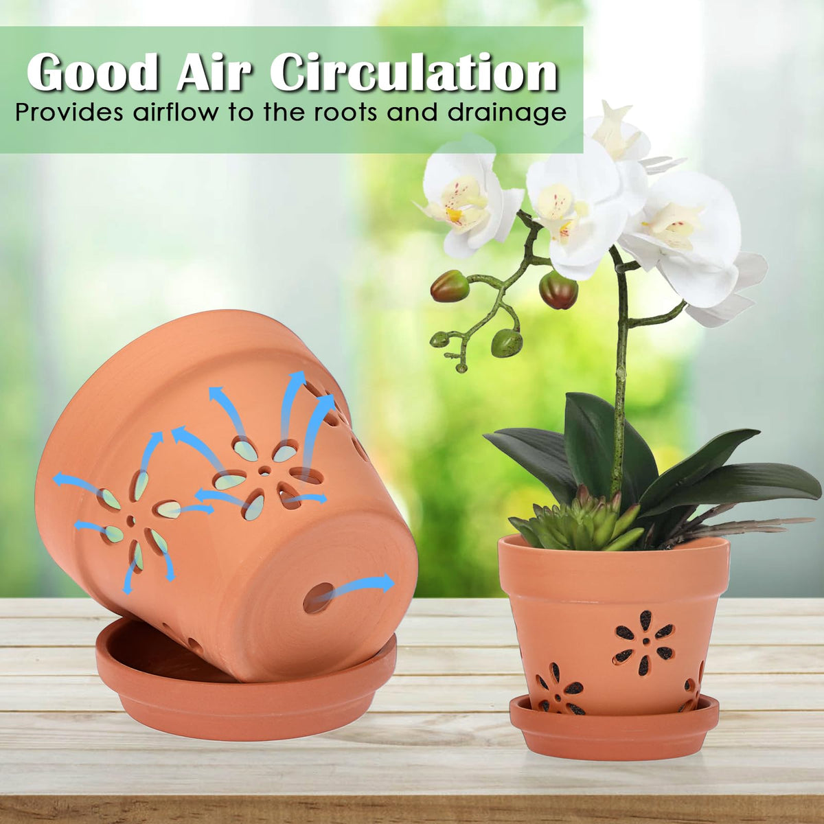 JUXYES pack with saucers provides organized orchid display options.