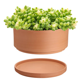 JUXYES 10 Inch Terracotta Shallow Pot with holes and saucers for improved drainage.