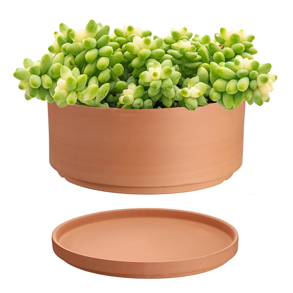 JUXYES 10 Inch Terracotta Shallow Pot with holes and saucers for improved drainage.