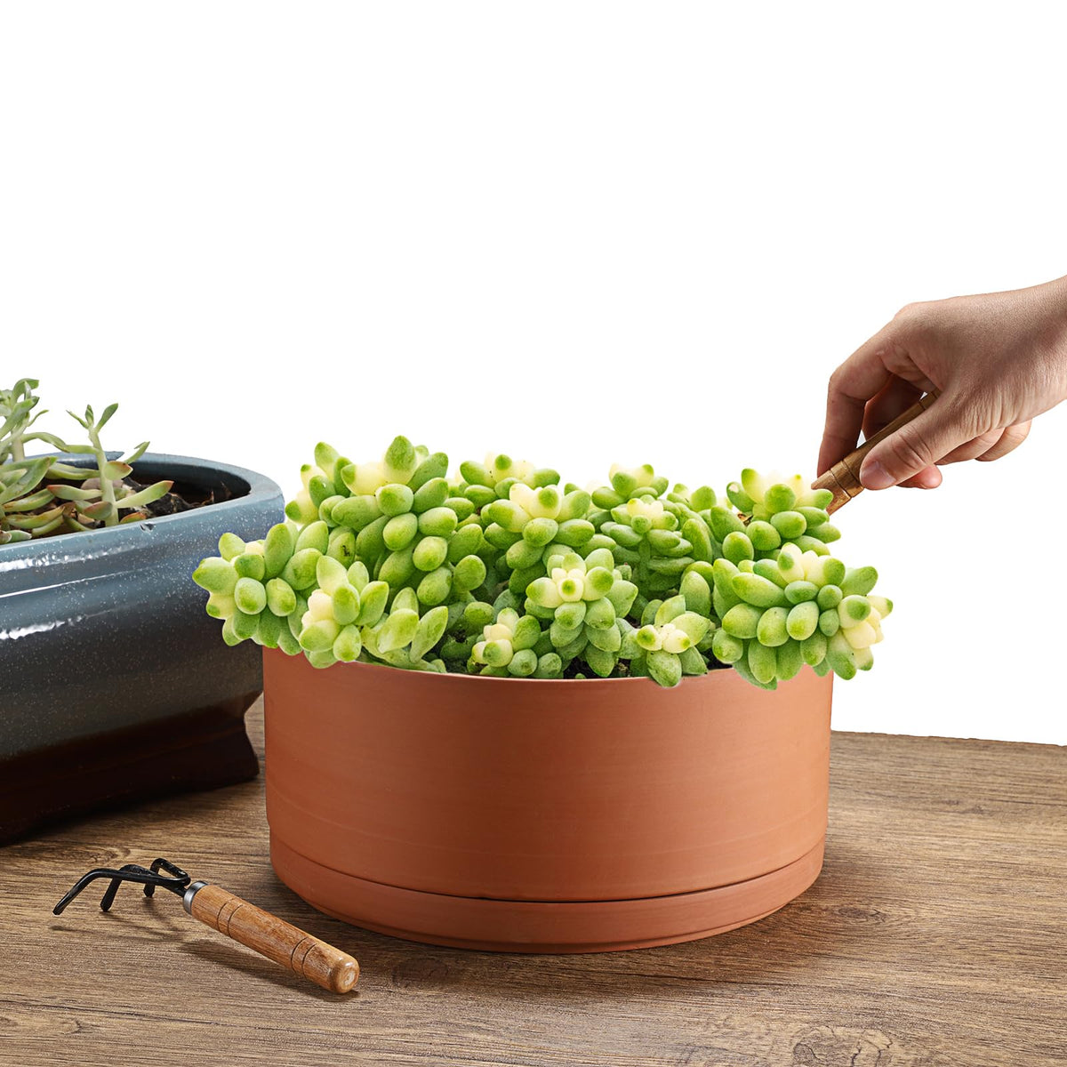 Rustic terracotta texture of the JUXYES planter complements modern decor.