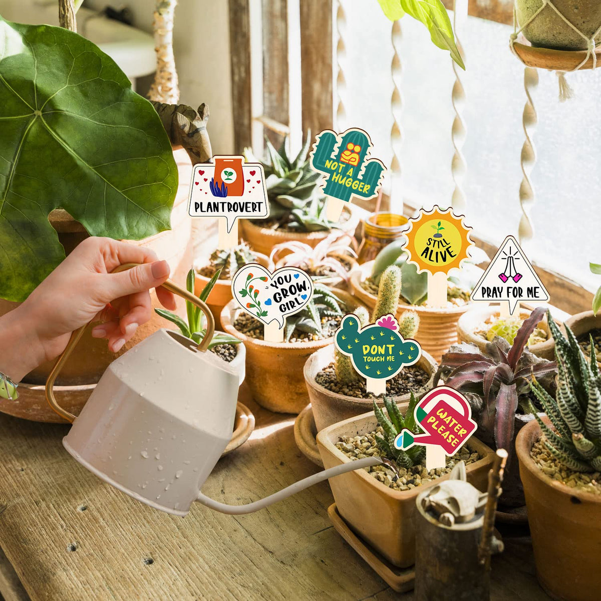 JUYRLE plant labels sized 4.7 by 2.5 inches for easy reading
