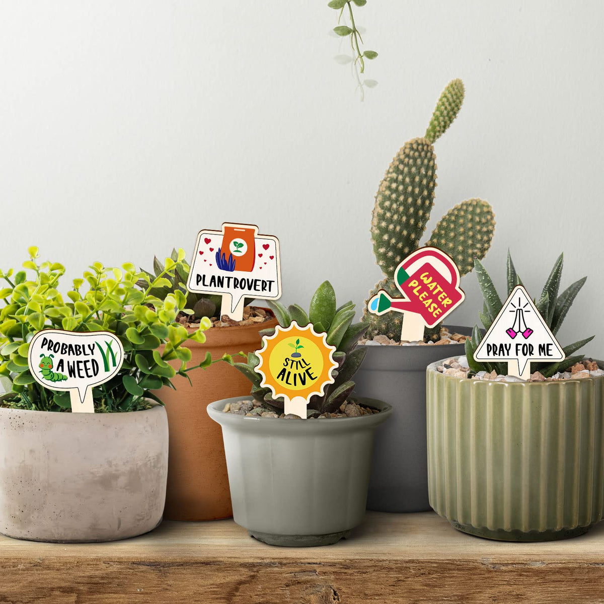 JUYRLE T-shaped garden marker design offers stable, visible labeling