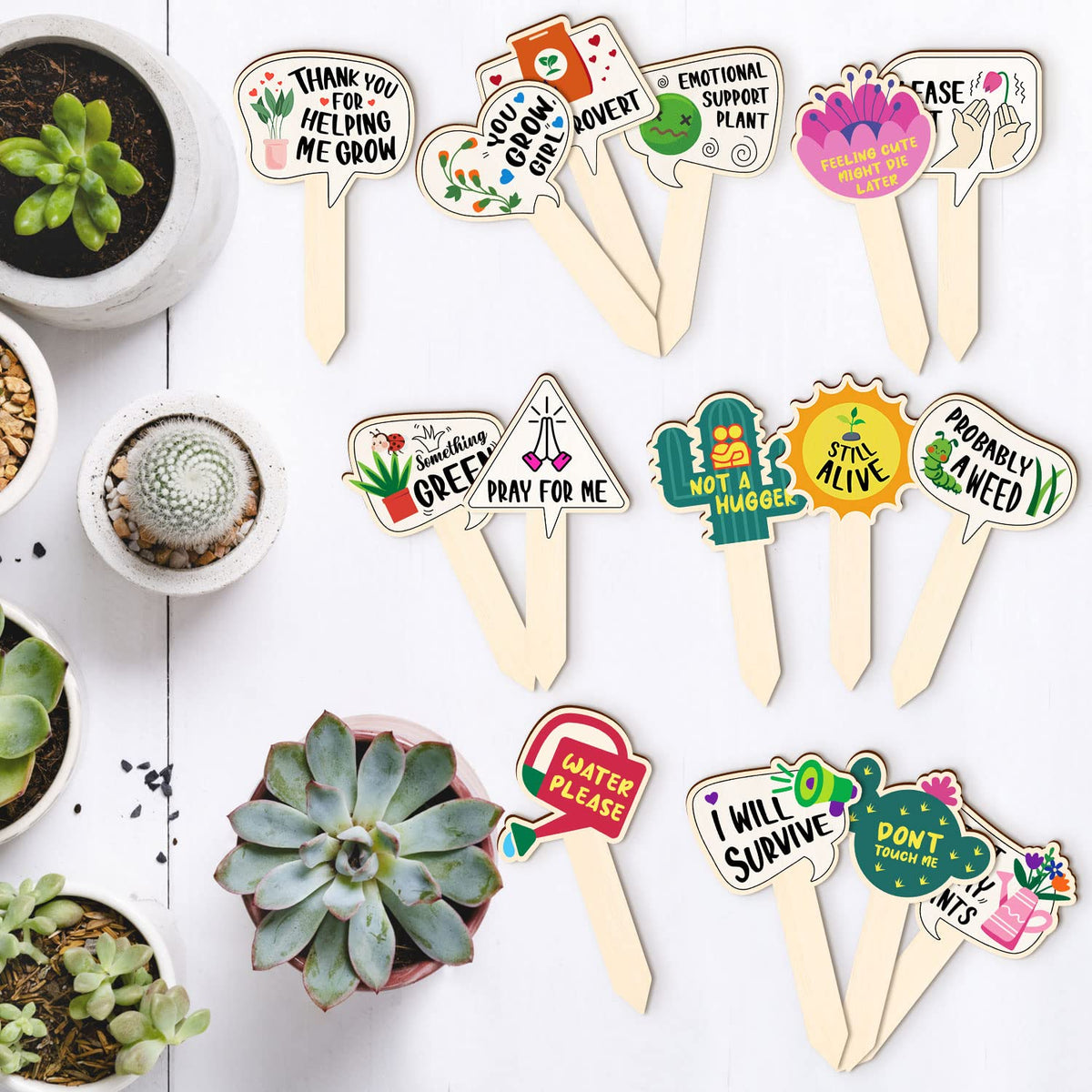 JUYRLE wooden labels featuring Don't touch me add playful plant charm