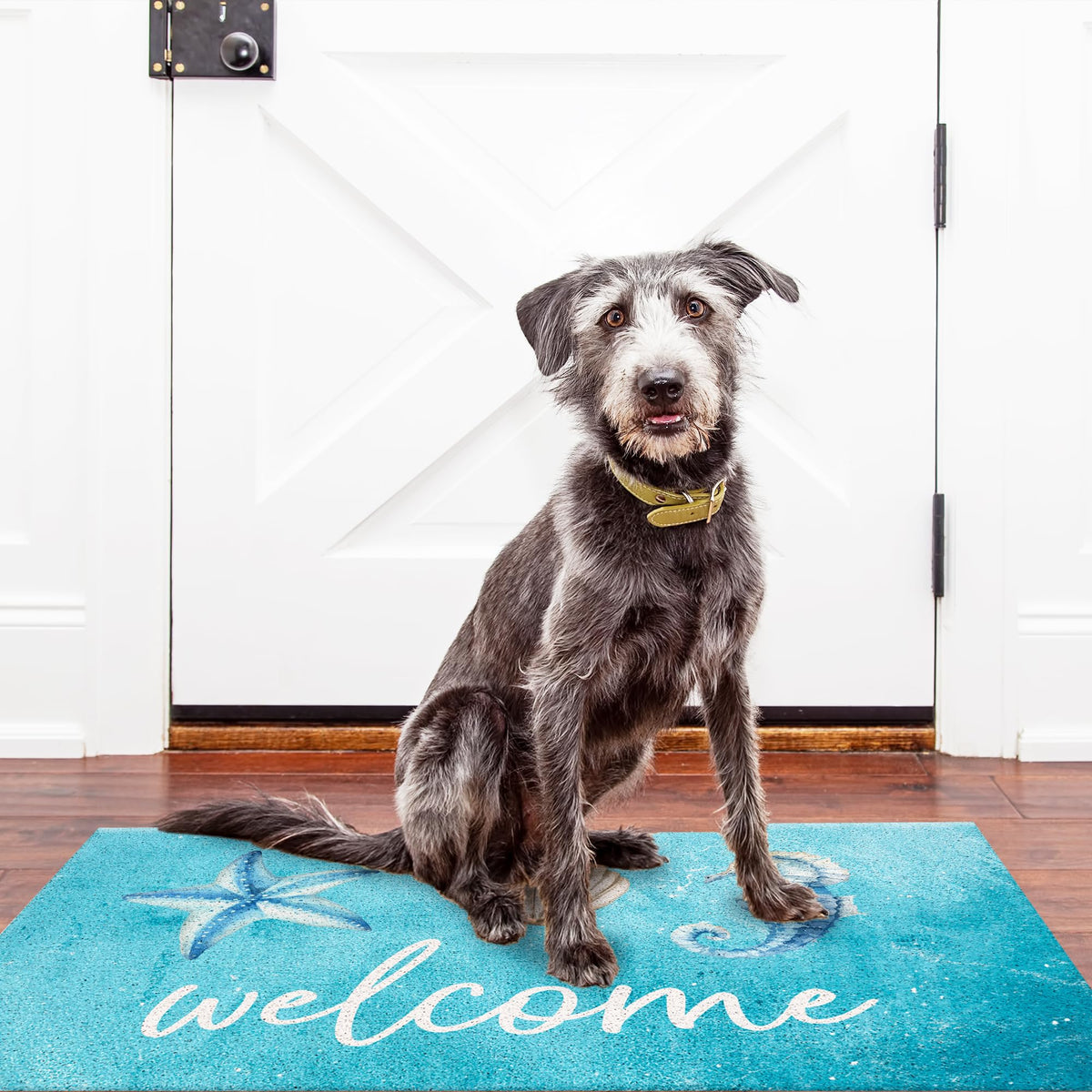 Jvpke blue beach mat seashell accents bring seaside vibes and easy entryway cleaning.