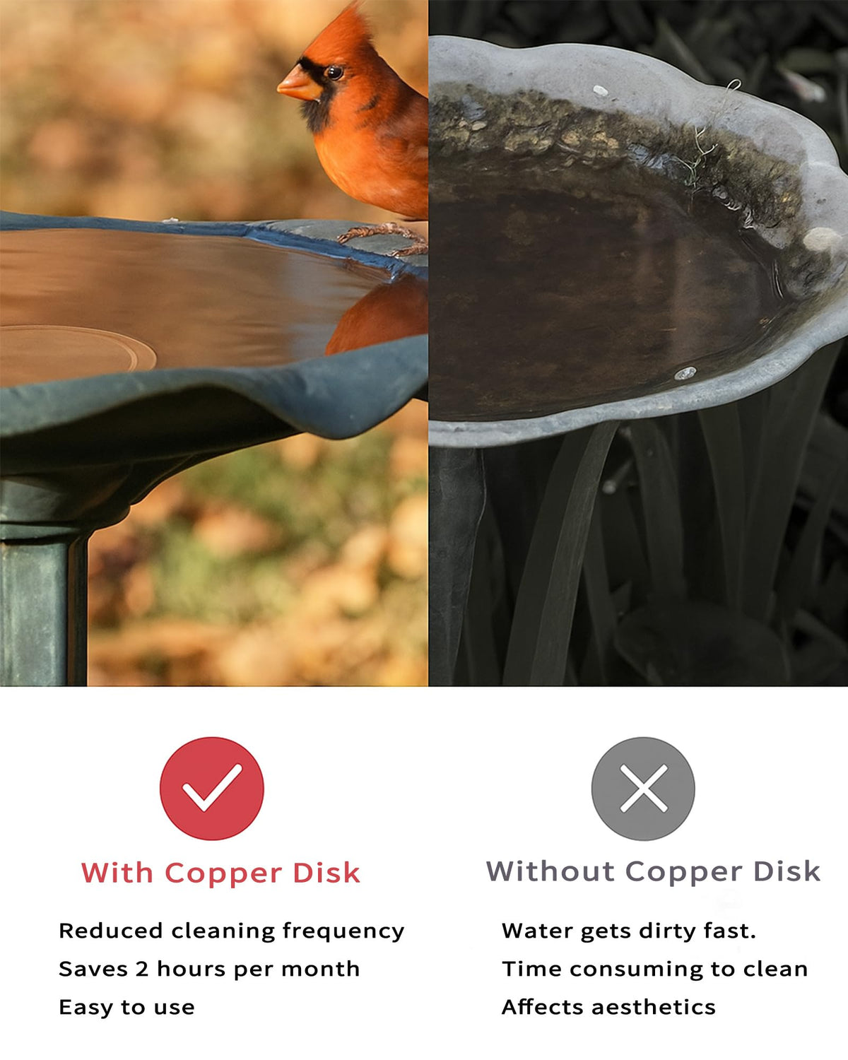 JWShang copper disk passivated surface withstands all weather conditions