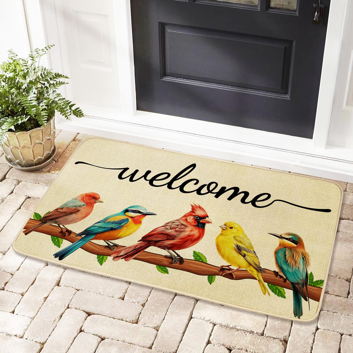 JWXCBIM indoor-outdoor non-slip mat for entryways and patios.