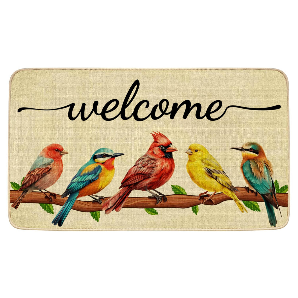 JWXCBIM spring door mat with bird welcome design for entryways.