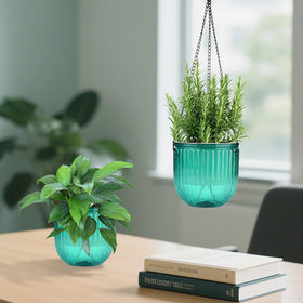 JxyHauteresce dual-size set adapts to small and large plants.