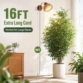 JYCT 18W full-spectrum LEDs promote balanced plant growth
