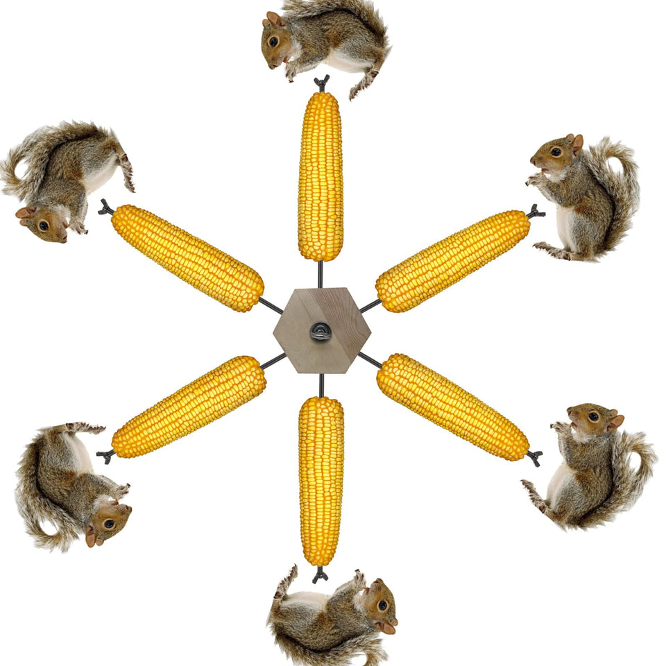 JZDF Windmill Squirrel Feeder assembly shows sturdy parts and easy setup.