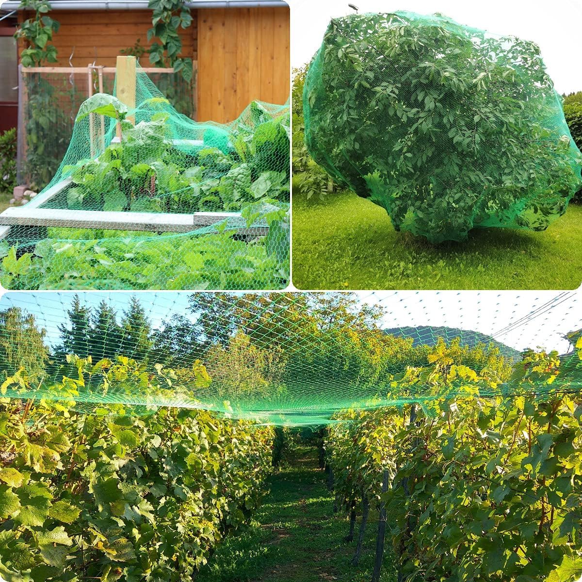 JZGEL plant netting protects crops without harming birds or wildlife.
