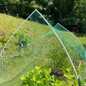JZGEL rabbit and bird deterrent netting safeguarding berries and fruit.