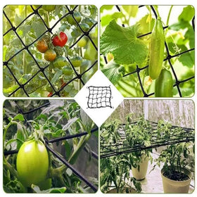 JZTang elastic trellis net enables flexible training of vines