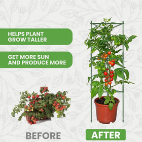 K-Brands Tomato Cage comes in a 1-pack for compact or large setups.
