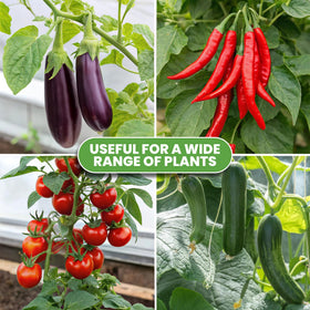K-Brands Tomato Cage designed to maximize growth potential in gardens.