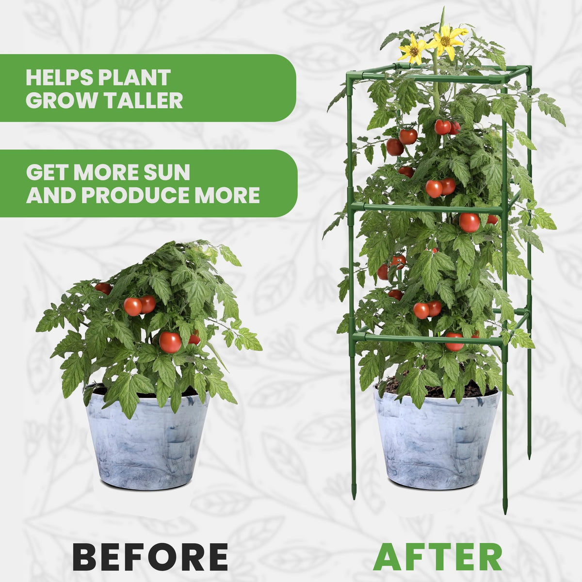 K-Brands square cage helps beans and tomatoes grow tall and sturdy.