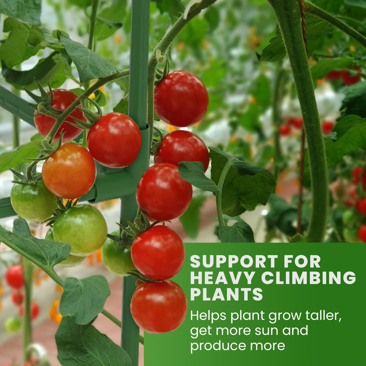 K-Brands Tomato Cage Square 58in reinforced steel core for durability