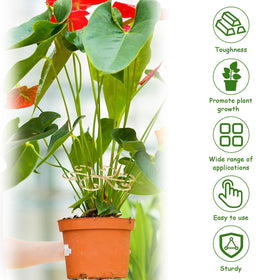 KAAFANG clip-on stem support attached to a plant branch