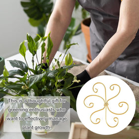 KAAFANG garden stem support suitable for monstera and stems