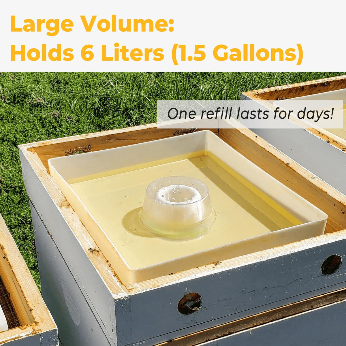 Anti-drowning rings included for safer feeding at the water reservoir