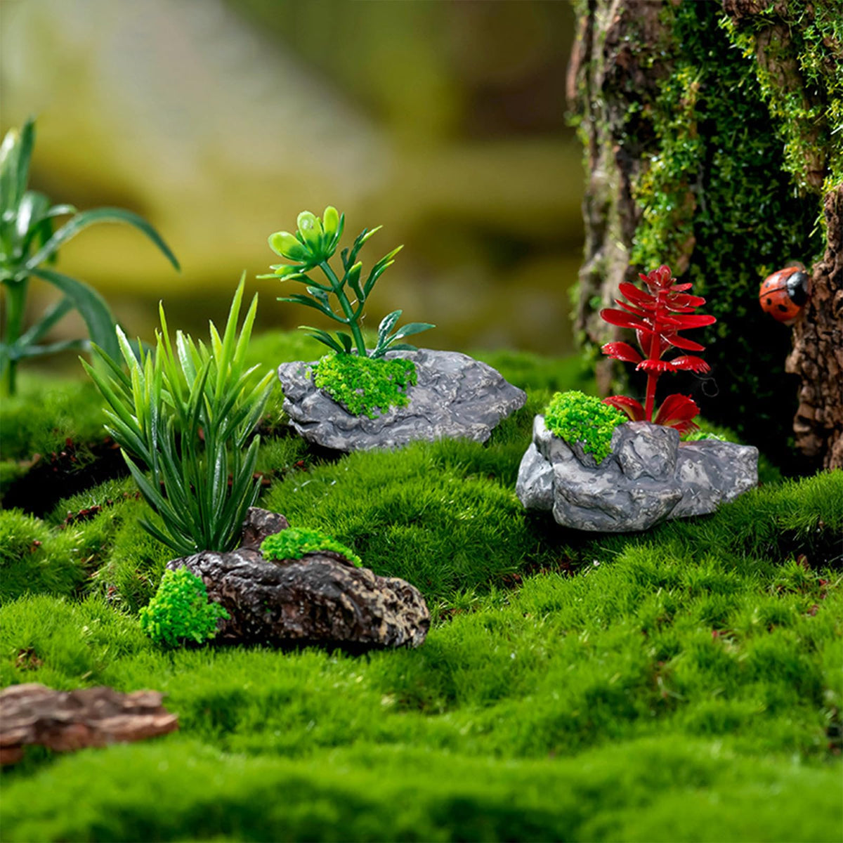 Kai Dream moss accents enhance greenery in zen gardens and terrariums.