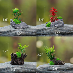 Kai Dream succulents provide realistic variety for dioramas and miniature landscapes.