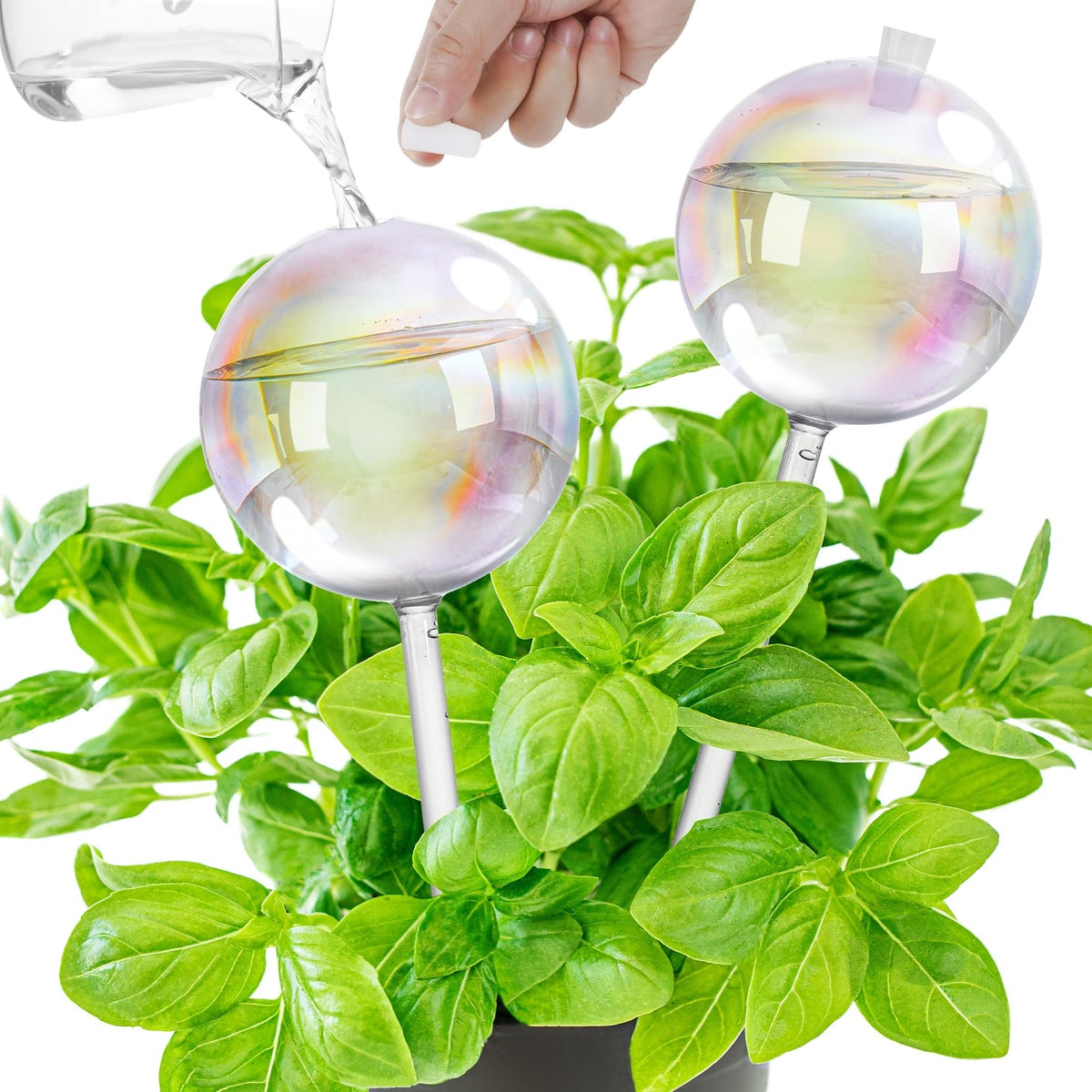 Kaimfdg 17oz iridescent globe for steady hydration when away.