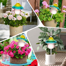Kaimfdg versatile watering bulbs suit hanging and patio plants.