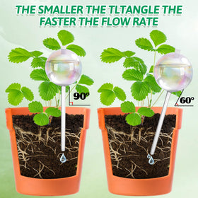 Kaimfdg works with any plant size, from hanging to patio.