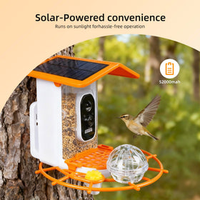 Kaixincz 2K HD live stream image for lag-free bird watching from anywhere.