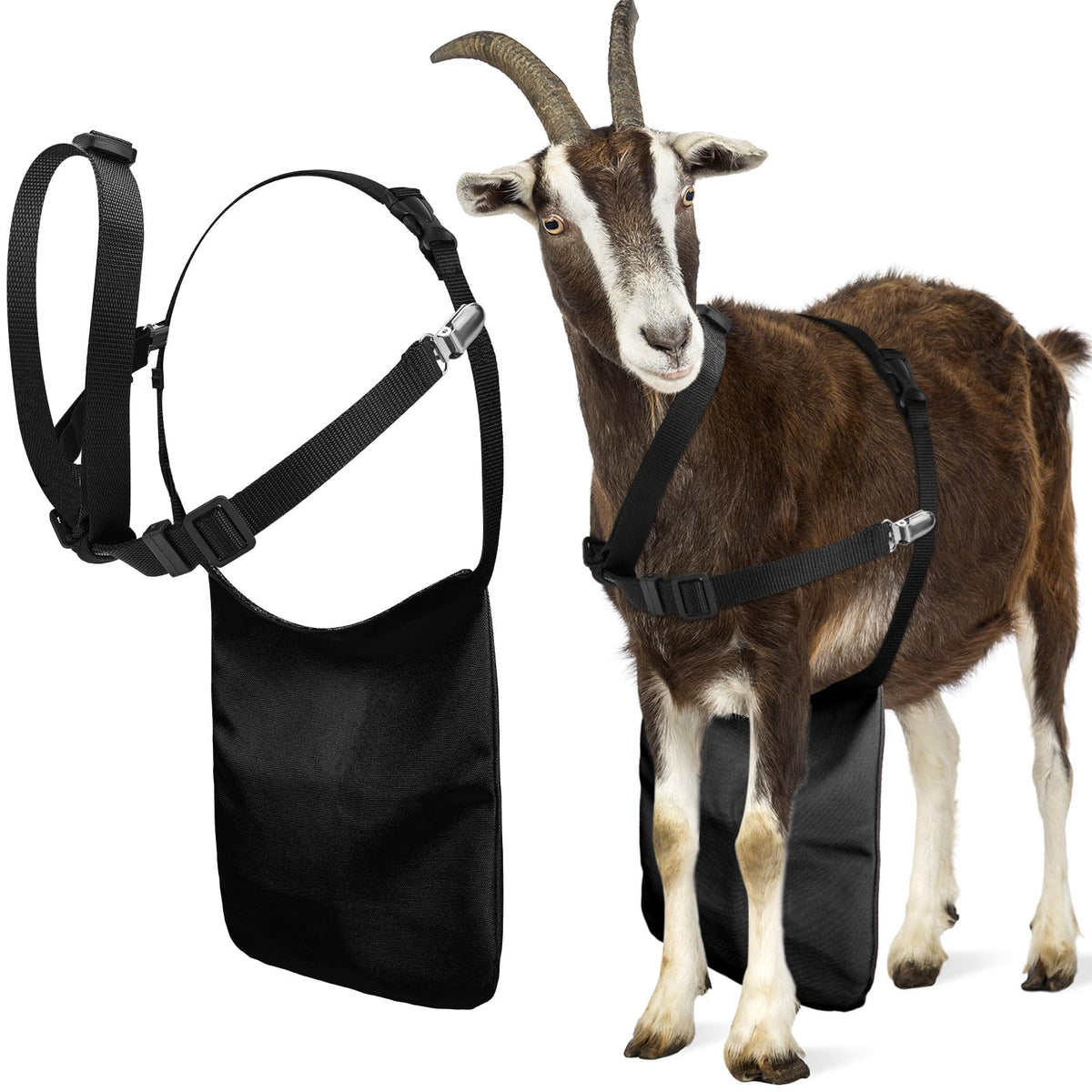 Kajaia goat apron black front view for easy breeding management