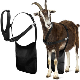 Kajaia goat apron black front view for easy breeding management