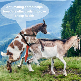 Kajaia Goat Apron center-weighted design staying in place during movement