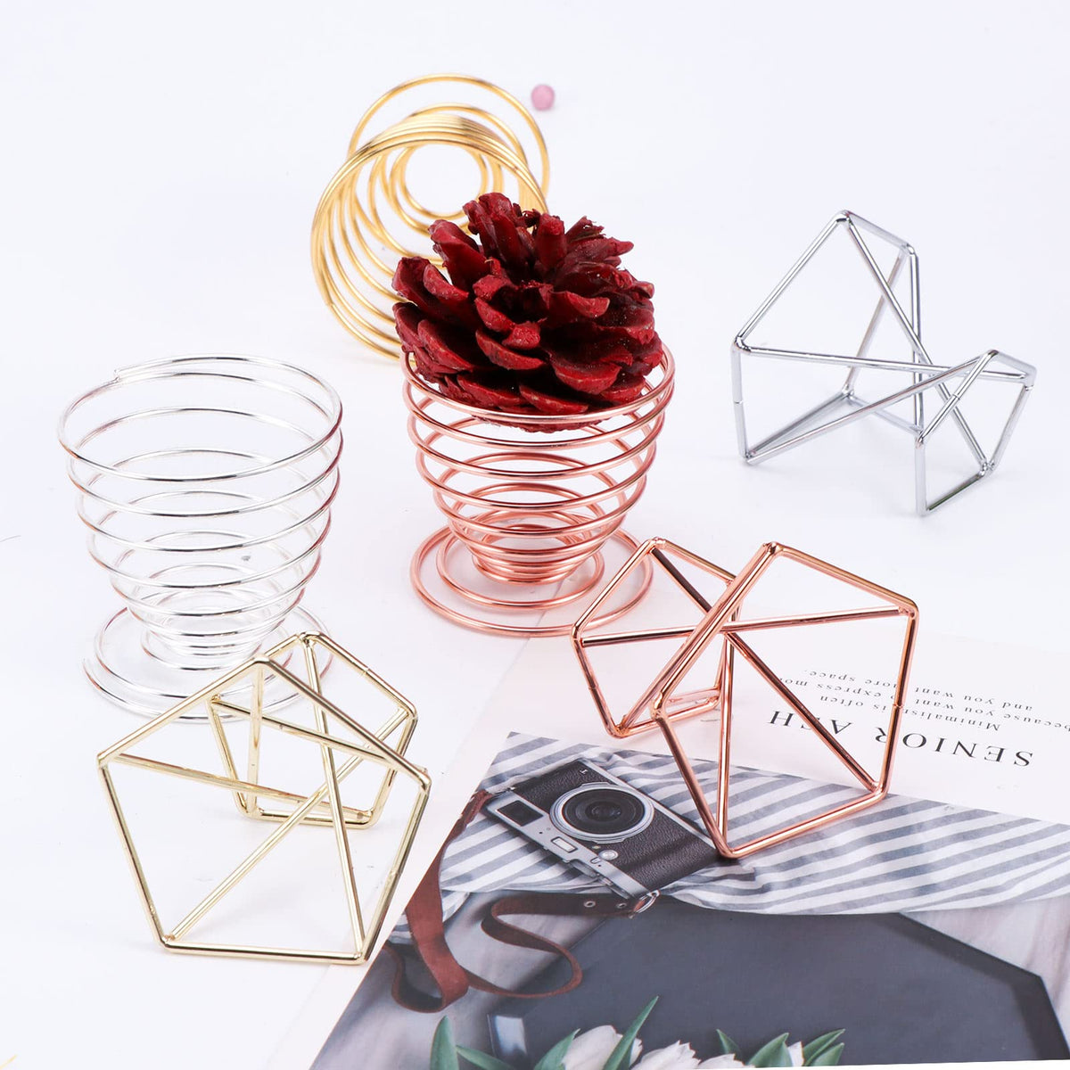 Kakalote geo air plant holder in gold with modern display