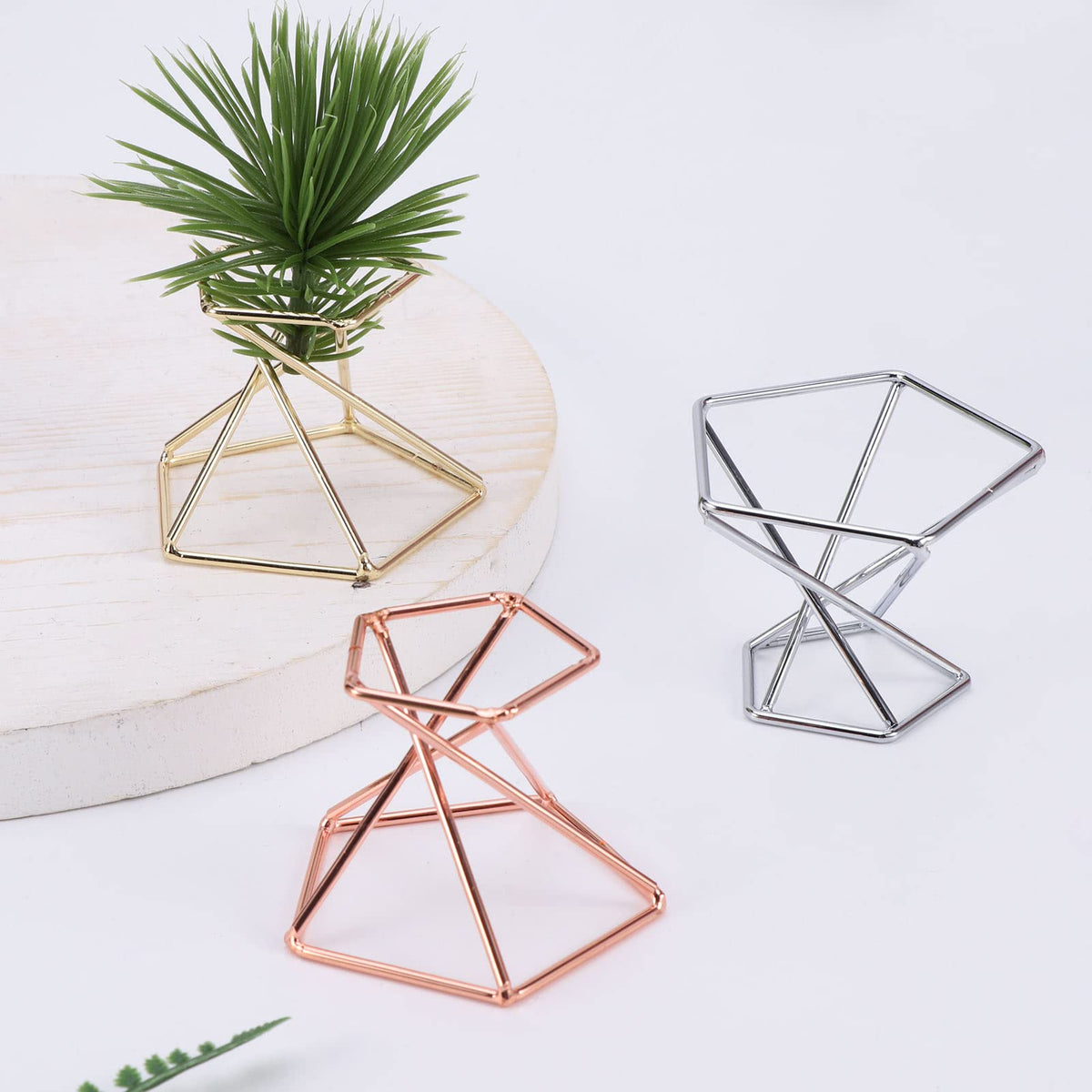 Kakalote geo air plant holder in silver adds minimalist touch