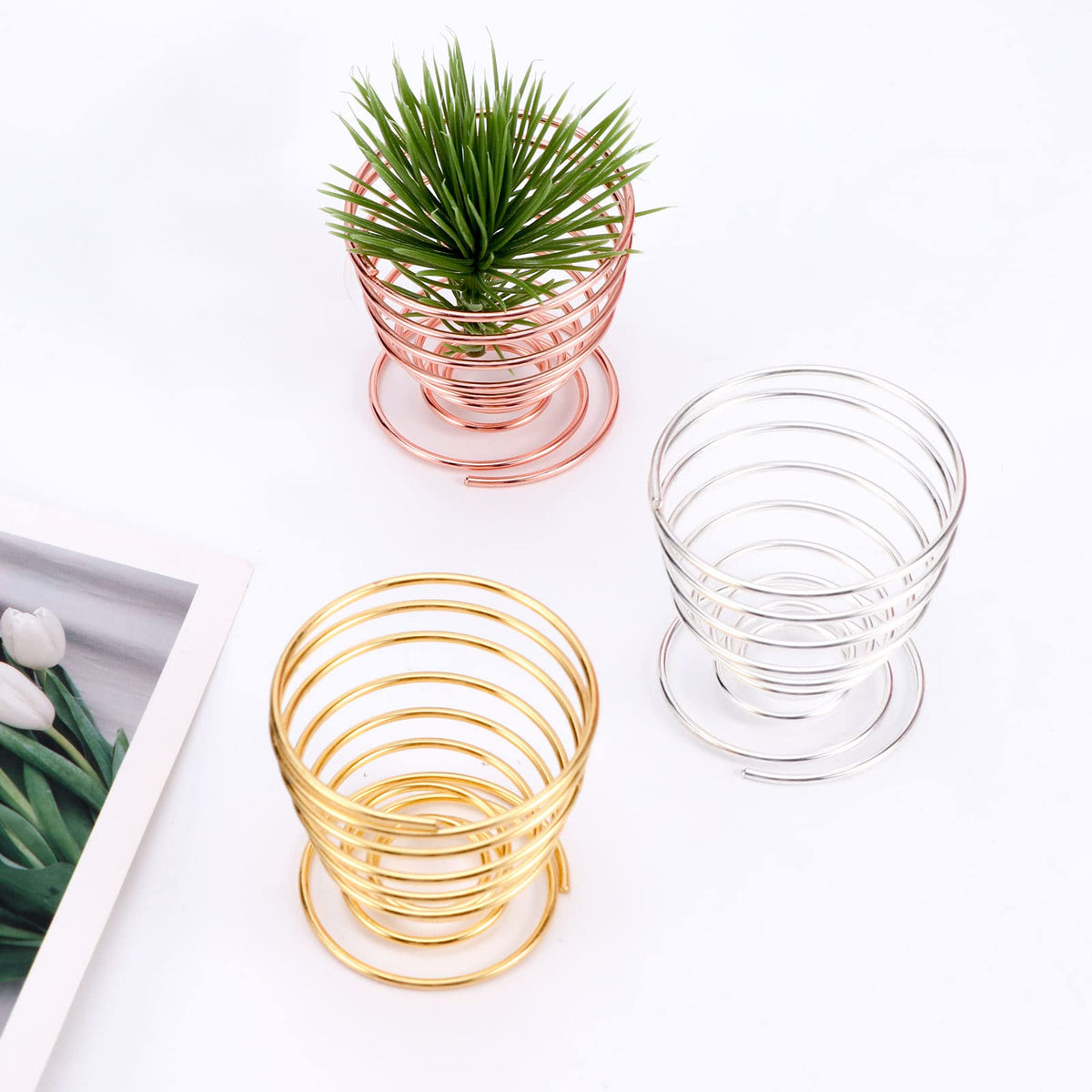 Kakalote spring air plant holder in rose gold on desk