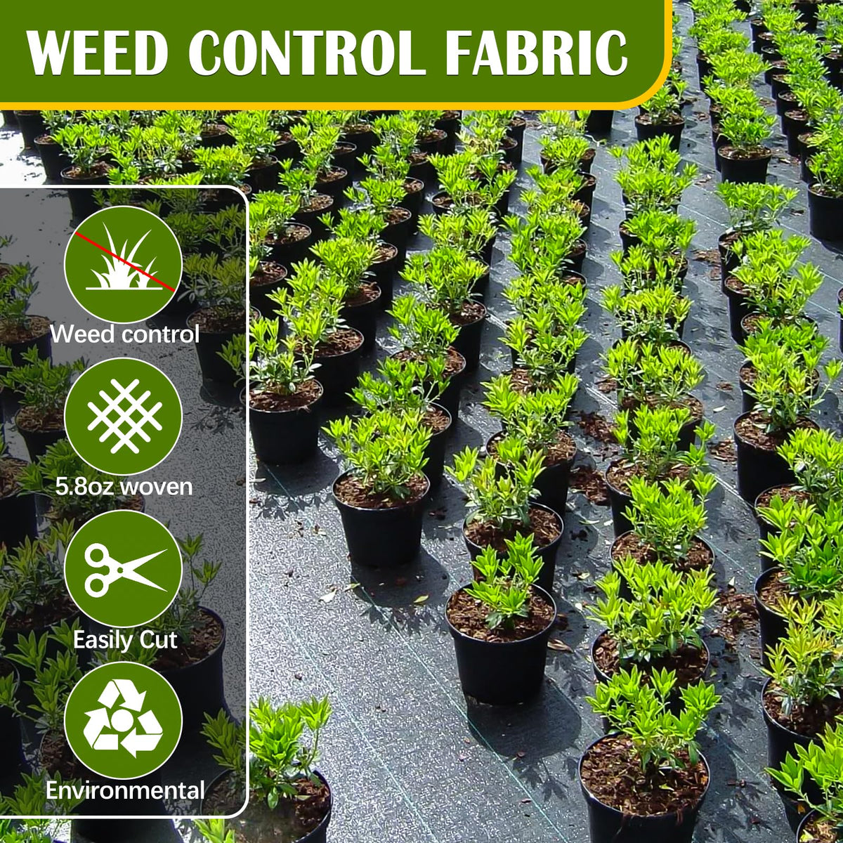 KAKO versatile ground cover suitable for gardens and pathways.