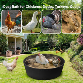 Kalekey black dust bath tub in coop for versatile use.