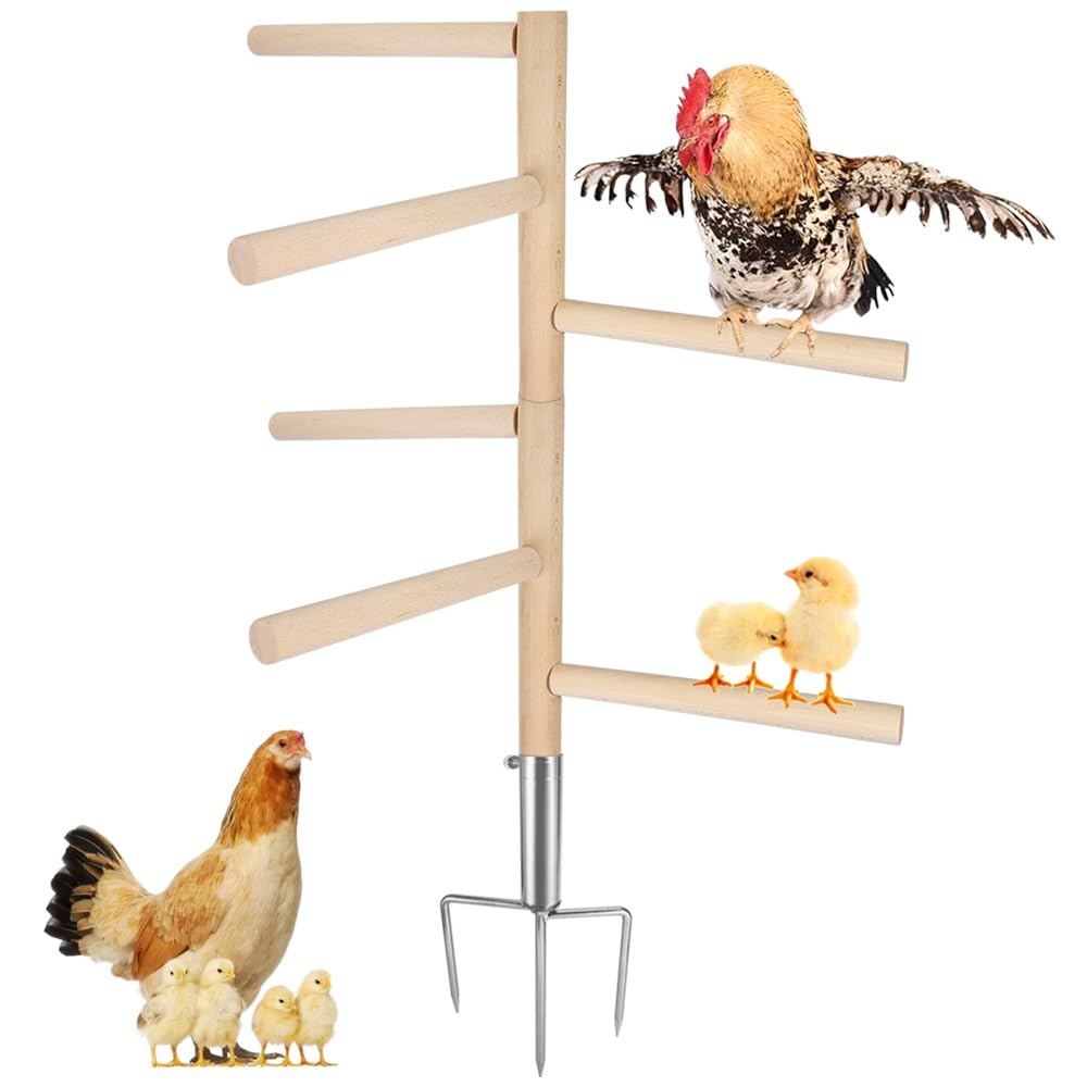 Kalekey chicken perch with six branches for secure multi-bird roosting.