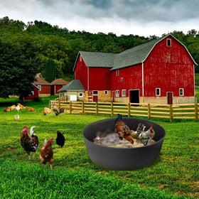 Kalekey chickens enjoying dust bath for clean feathers.