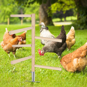 Kalekey durable beech wood perch with stainless base for long-lasting use.
