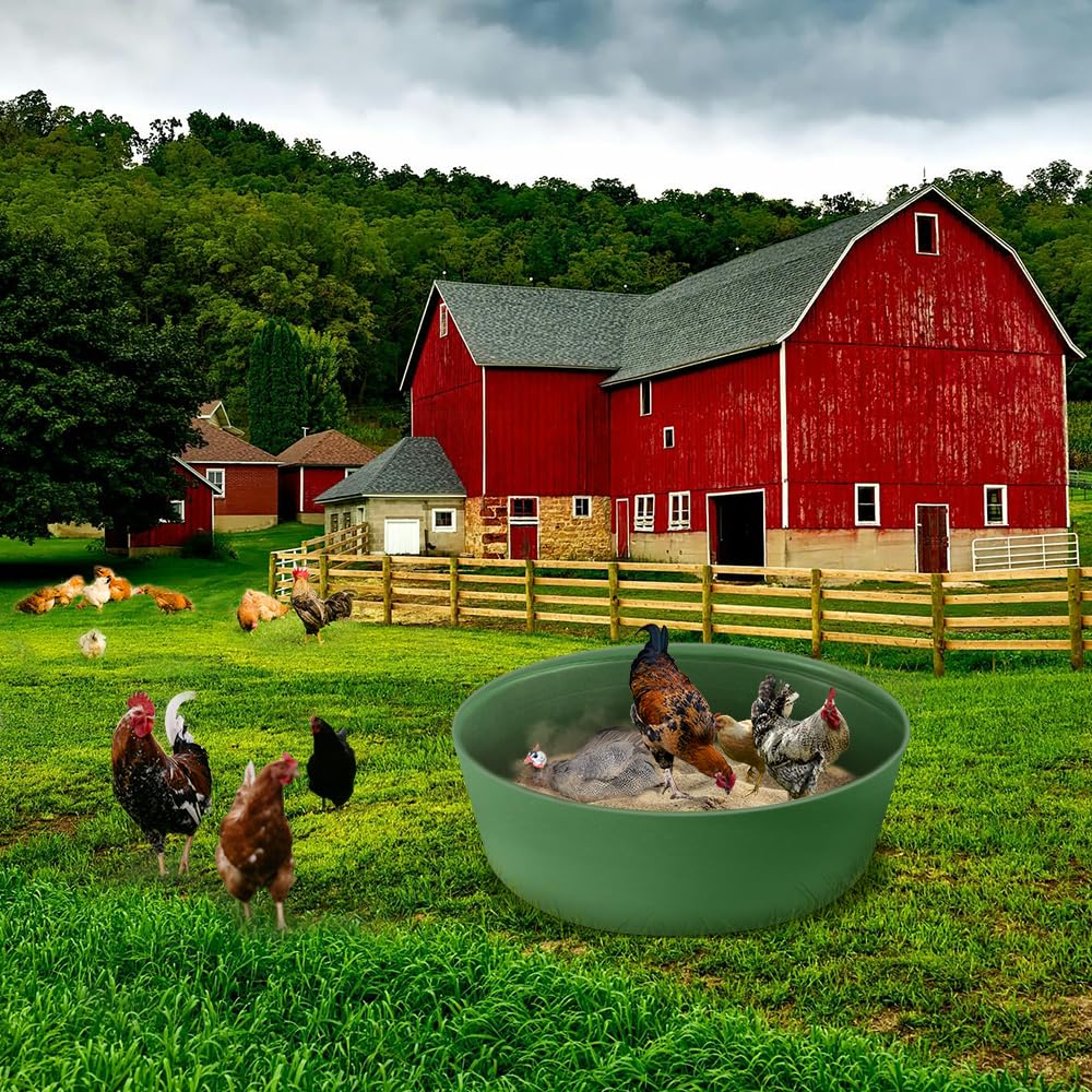 Kalekey dust bath tub grass installation shown in coop yard.