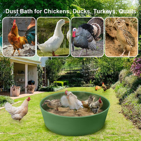 Kalekey green dust bath tub ideal for farms and coops.