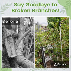 Kalinar built-in notches enable safe branch tying without bark damage