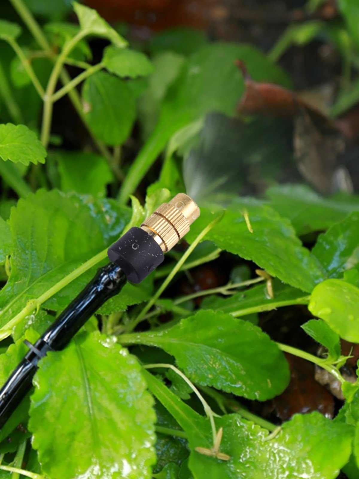 Kalolary detachable nozzle for simple cleaning and maintenance.