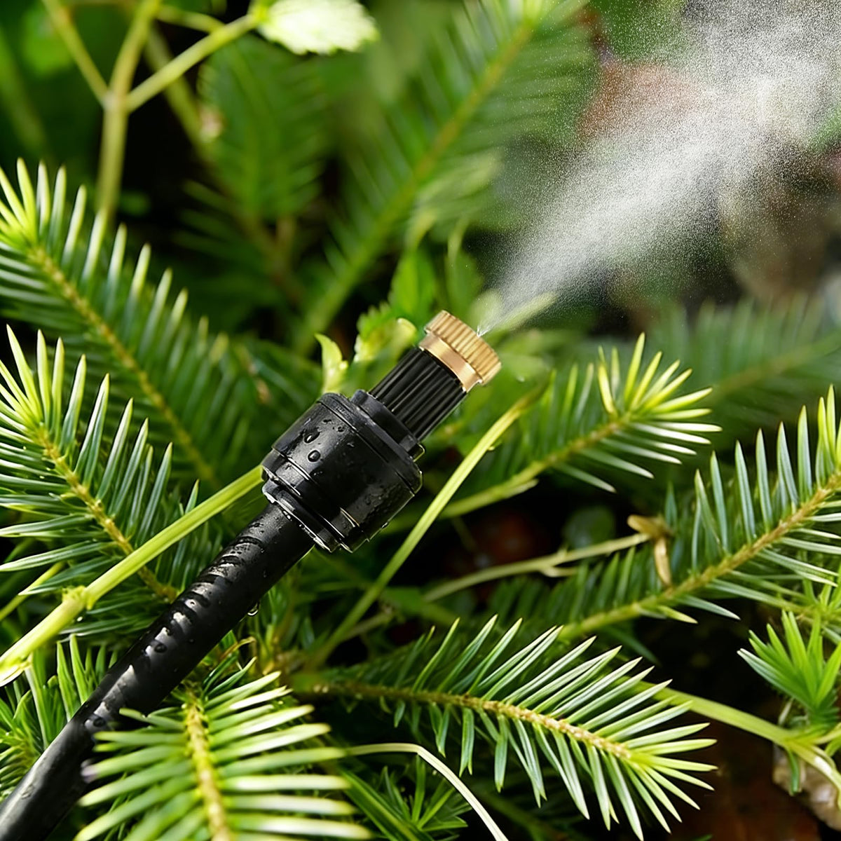 Kalolary misting system cooling lawn and vegetables.