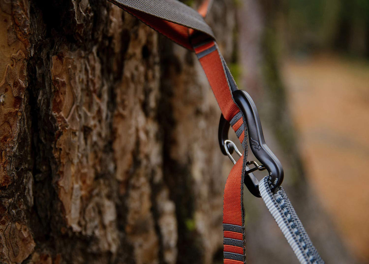 Kammok Python straps attached on a tree for quick setup.