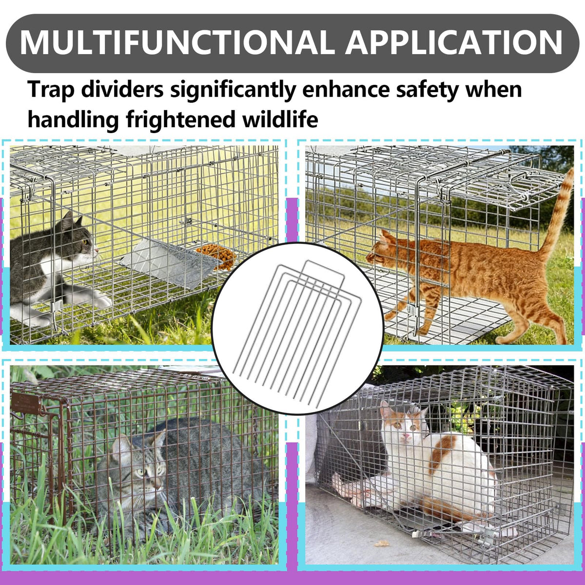 Kamrexi trap divider guides animals gently into transfer units.